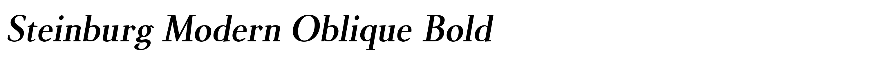 Steinburg Modern Oblique Bold